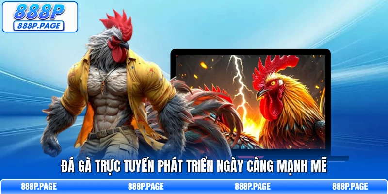 Đá gà trực tuyến phát triển ngày càng mạnh mẽ
